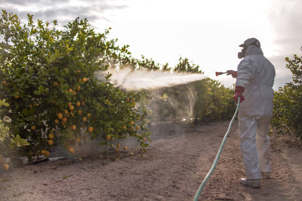 Best Pest Prevention Services  in Lawrenceville, GA