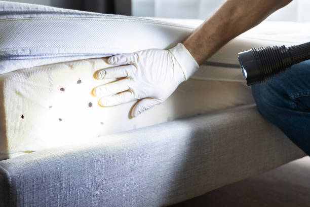 Best Pest Control Near Me  in Lawrenceville, GA