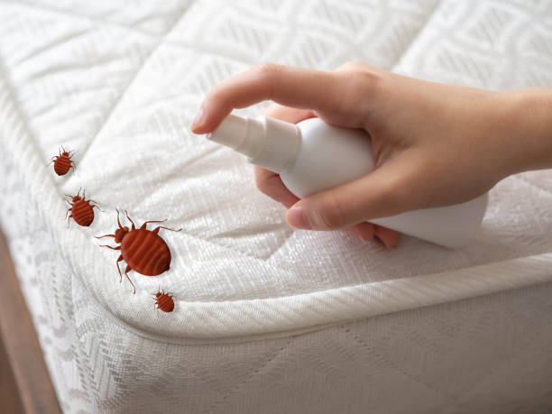 Best Best Pest Control Near Me  in Lawrenceville, GA