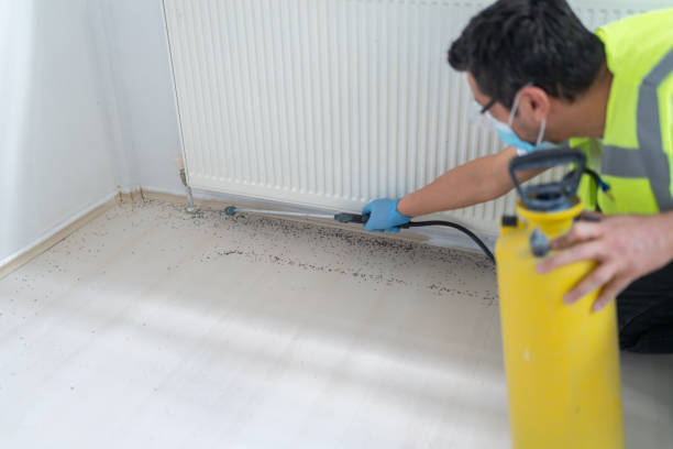 Best Ant Control Services  in Lawrenceville, GA